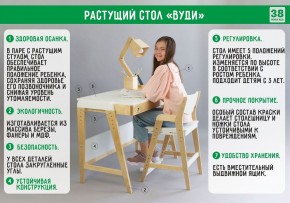 Комплект растущий стол и стул с чехлом 38 попугаев «Вуди» (Белый, Белый, Клетка) в Пойковском - poikovskii.mebel-74.com | фото