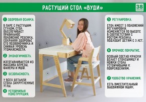 Комплект растущий стол и стул с чехлом 38 попугаев «Вуди» (Серый, Береза, Салют) в Пойковском - poikovskii.mebel-74.com | фото