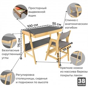 Комплект растущий стол и стул с чехлом 38 попугаев «Вуди» (Серый, Береза, Серый) в Пойковском - poikovskii.mebel-74.com | фото