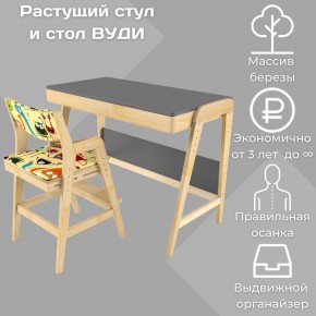 Комплект растущий стол и стул с чехлом 38 попугаев «Вуди» (Серый, Без покрытия, Монстры) в Пойковском - poikovskii.mebel-74.com | фото
