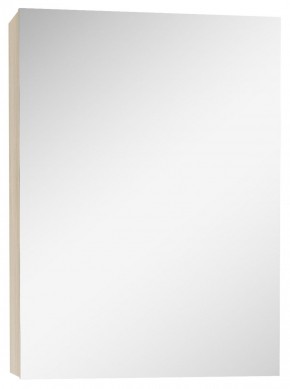 Шкаф-зеркало Мечта 40 Дуб сонома АЙСБЕРГ (DM2317HZ) в Пойковском - poikovskii.mebel-74.com | фото