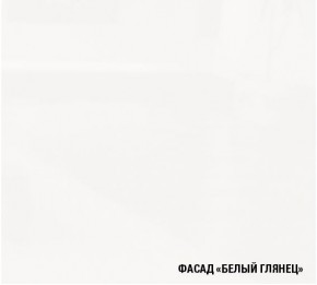 ТЕРЦИЯ Кухонный гарнитур Экстра 5 (3000 мм) в Пойковском - poikovskii.mebel-74.com | фото