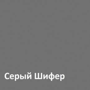 Юнона Шкаф торцевой 13.221 в Пойковском - poikovskii.mebel-74.com | фото